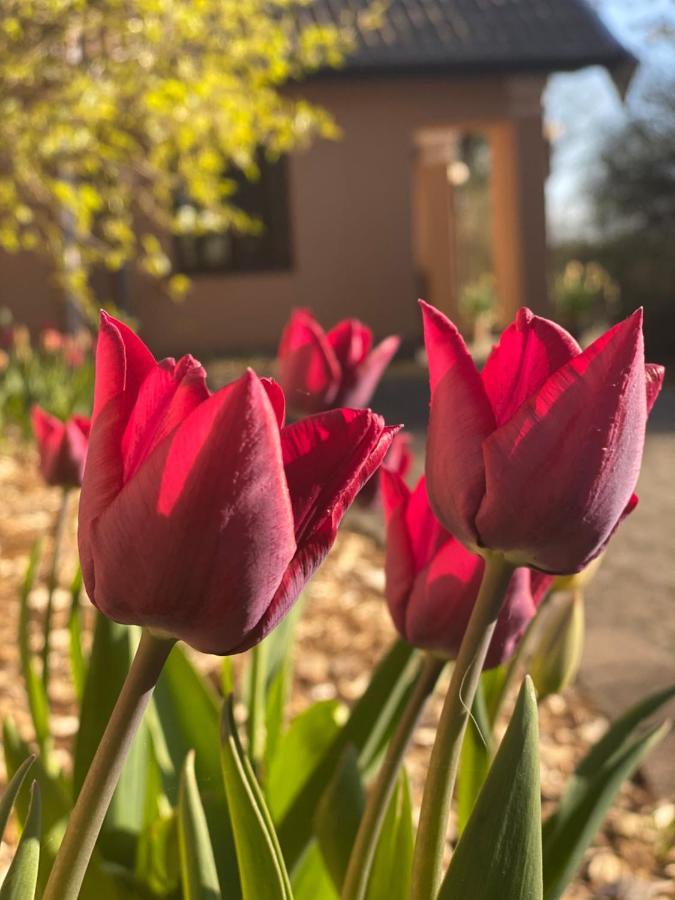 Borgdal Bed & Breakfast Silkeborg Luaran gambar
