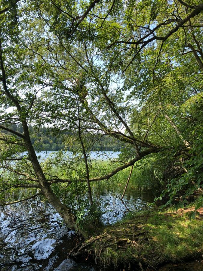 Borgdal Bed & Breakfast Silkeborg Luaran gambar